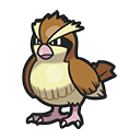 Pidgey