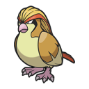 Pidgeot