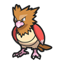 Spearow