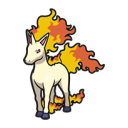 Rapidash